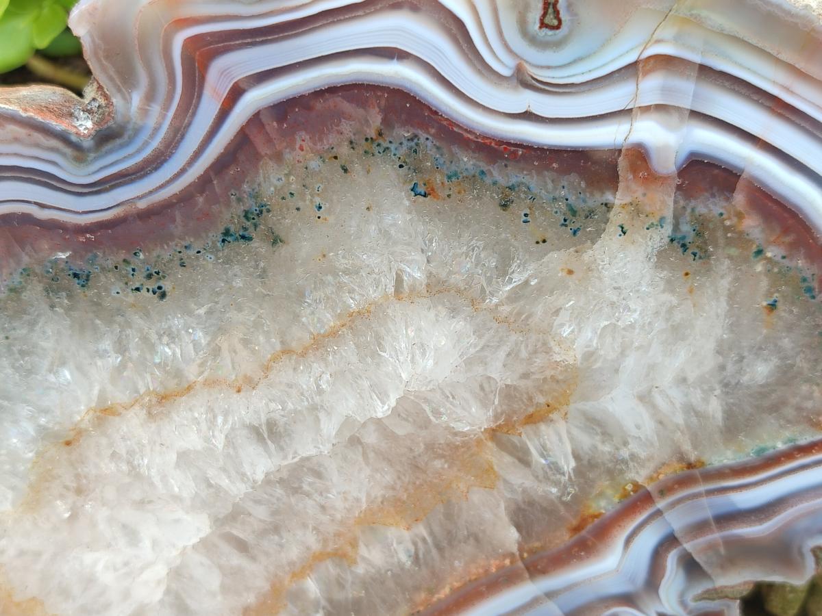 Polished One Side Pair of Red Shashe River Agate Slices with Matching Concentric Ring Patterns x 1 From Shashe River, Zimbabwe