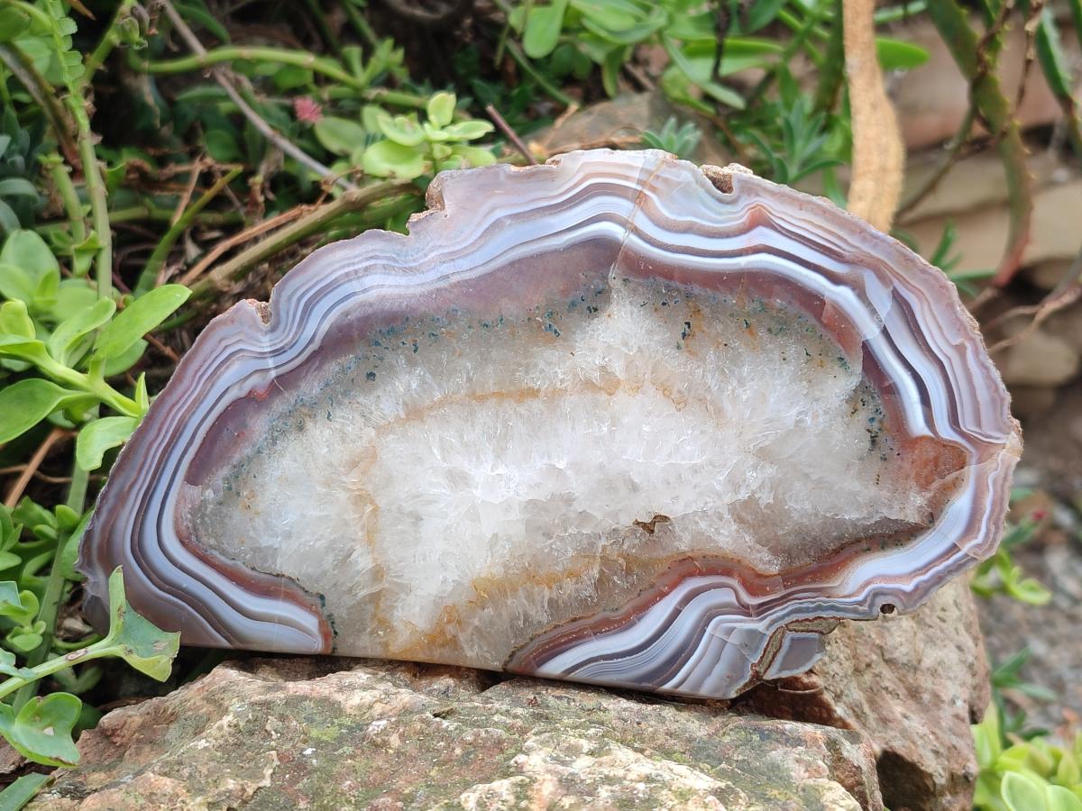 Polished One Side Pair of Red Shashe River Agate Slices with Matching Concentric Ring Patterns x 1 From Shashe River, Zimbabwe