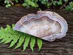 Polished One Side Pair of Red Shashe River Agate Slices with Matching Concentric Ring Patterns x 1 From Shashe River, Zimbabwe