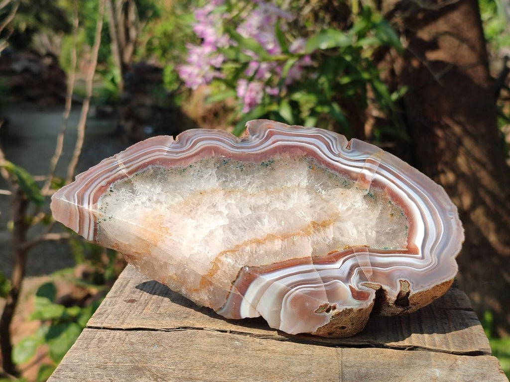 Polished One Side Pair of Red Shashe River Agate Slices with Matching Concentric Ring Patterns x 1 From Shashe River, Zimbabwe