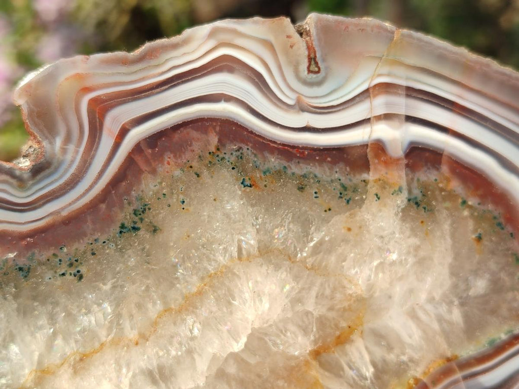 Polished One Side Pair of Red Shashe River Agate Slices with Matching Concentric Ring Patterns x 1 From Shashe River, Zimbabwe
