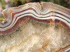 Polished One Side Pair of Red Shashe River Agate Slices with Matching Concentric Ring Patterns x 1 From Shashe River, Zimbabwe