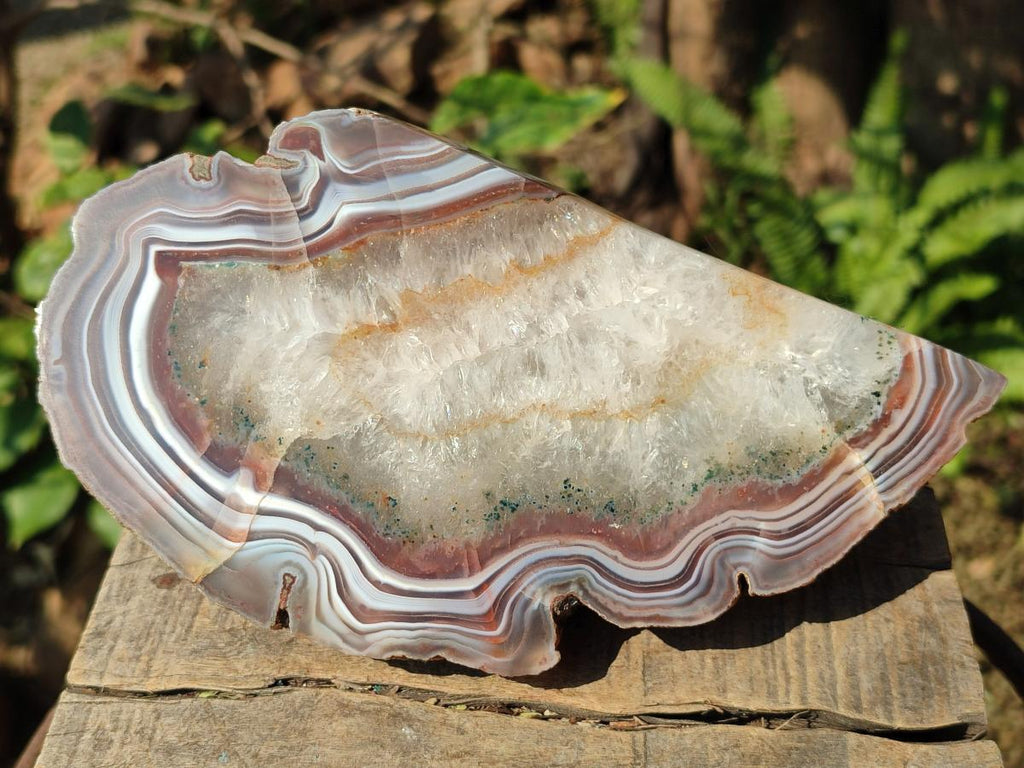 Polished One Side Pair of Red Shashe River Agate Slices with Matching Concentric Ring Patterns x 1 From Shashe River, Zimbabwe