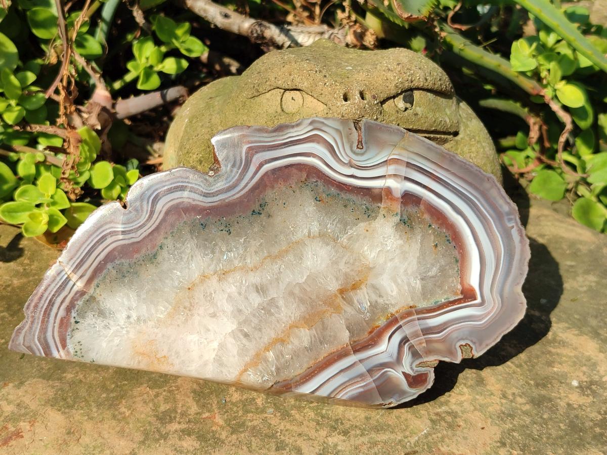 Polished One Side Pair of Red Shashe River Agate Slices with Matching Concentric Ring Patterns x 1 From Shashe River, Zimbabwe
