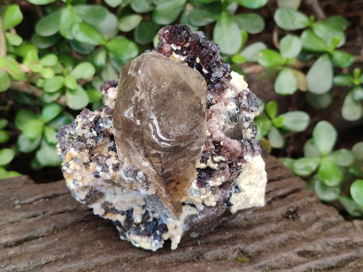 Natural Fluorescent Erongo Smokey Quartz Cluster with Fluorite, Hyalite and Muscovite Mica x 1 From Erongo, Namibia