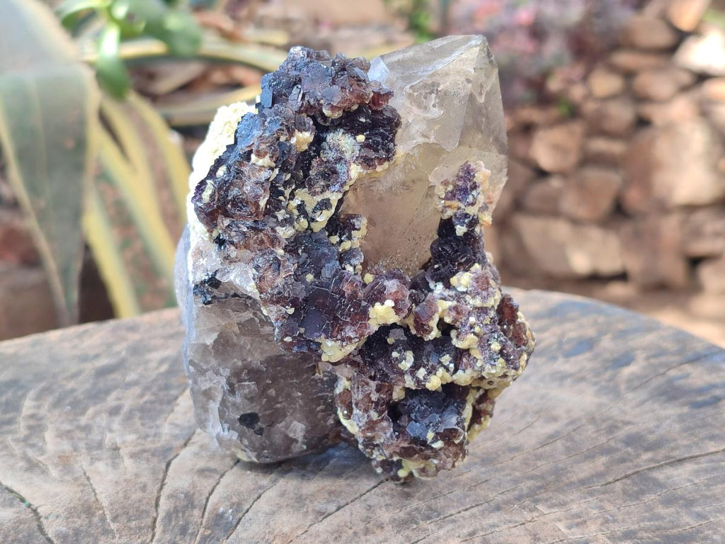 Natural Fluorescent Erongo Smokey Quartz Cluster with Fluorite, Hyalite and Muscovite Mica x 1 From Erongo, Namibia