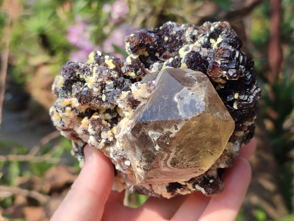 Natural Fluorescent Erongo Smokey Quartz Cluster with Fluorite, Hyalite and Muscovite Mica x 1 From Erongo, Namibia