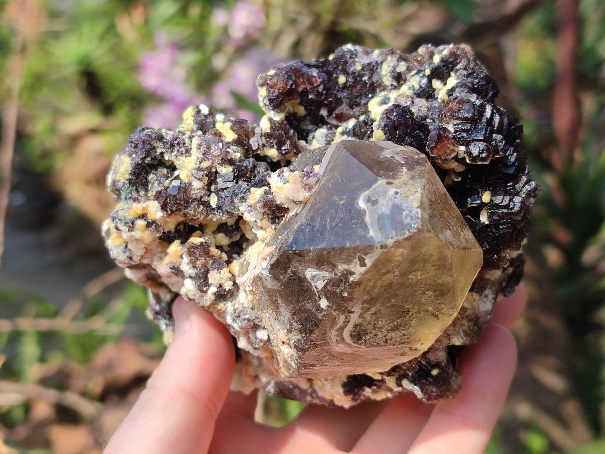 Natural Fluorescent Erongo Smokey Quartz Cluster with Fluorite, Hyalite and Muscovite Mica x 1 From Erongo, Namibia