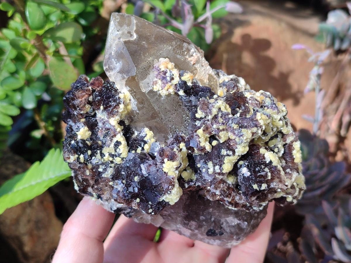 Natural Fluorescent Erongo Smokey Quartz Cluster with Fluorite, Hyalite and Muscovite Mica x 1 From Erongo, Namibia