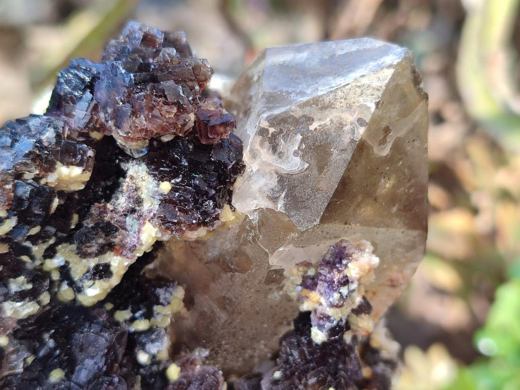 Natural Fluorescent Erongo Smokey Quartz Cluster with Fluorite, Hyalite and Muscovite Mica x 1 From Erongo, Namibia