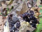 Natural Fluorescent Erongo Smokey Quartz Cluster with Fluorite, Hyalite and Muscovite Mica x 1 From Erongo, Namibia