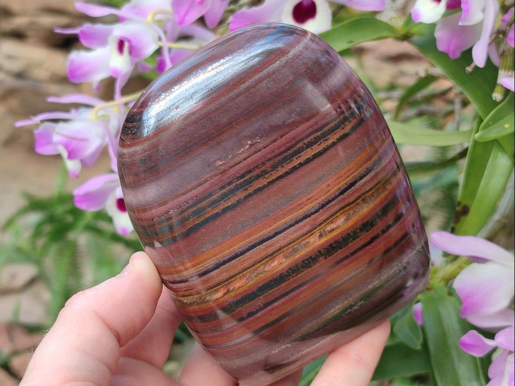 Polished Unique Striped Ironstone Jasper Display Piece x 1 From Prieska, South Africa