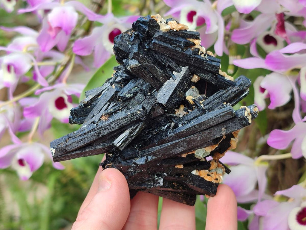 Natural Multi-Terminated Splayed Schorl Fluorite and Muscovite Specimen x 1 From Erongo, Namibia