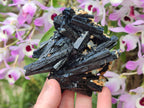 Natural Multi-Terminated Splayed Schorl Fluorite and Muscovite Specimen x 1 From Erongo, Namibia