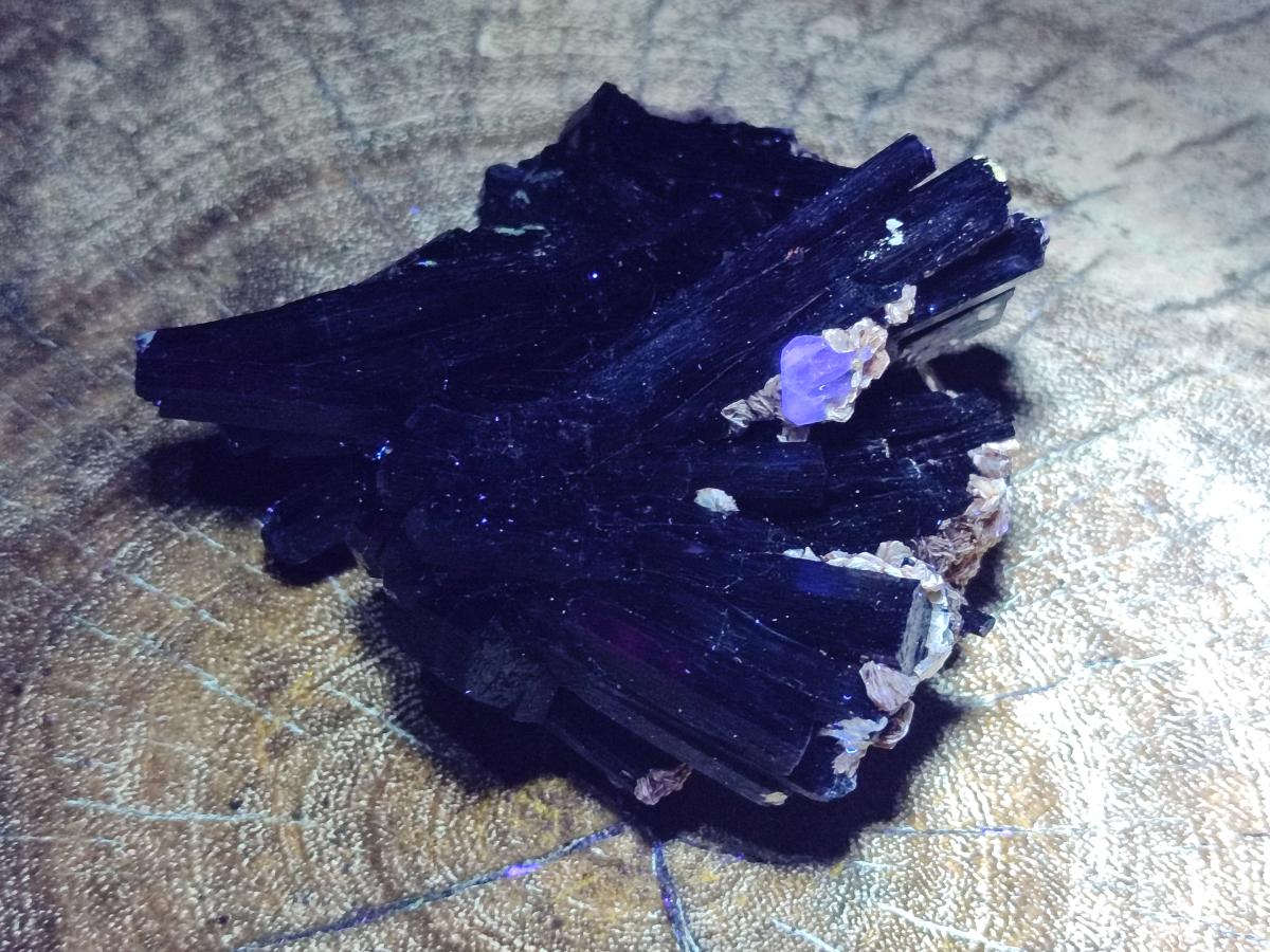 Natural Multi-Terminated Splayed Schorl Fluorite and Muscovite Specimen x 1 From Erongo, Namibia