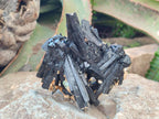 Natural Multi-Terminated Splayed Schorl Fluorite and Muscovite Specimen x 1 From Erongo, Namibia