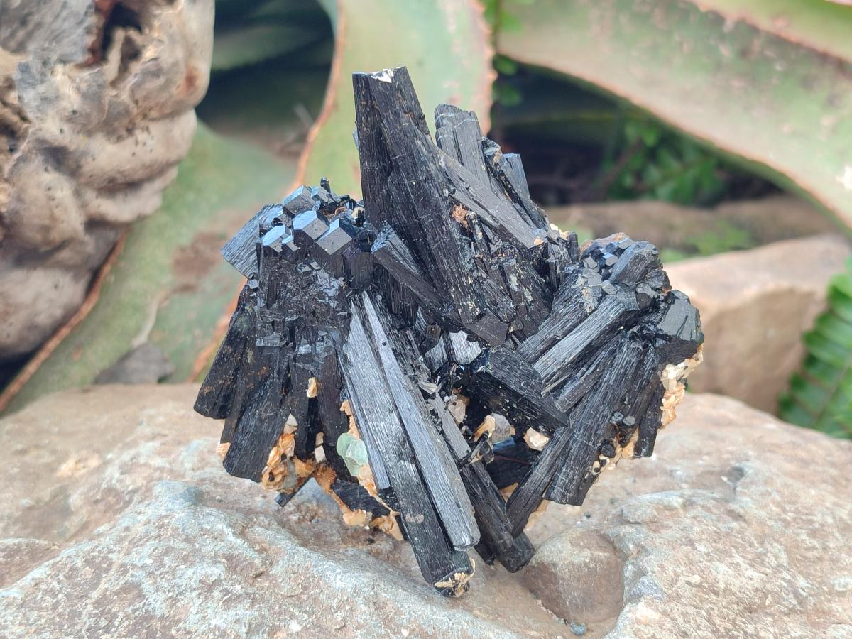 Natural Multi-Terminated Splayed Schorl Fluorite and Muscovite Specimen x 1 From Erongo, Namibia
