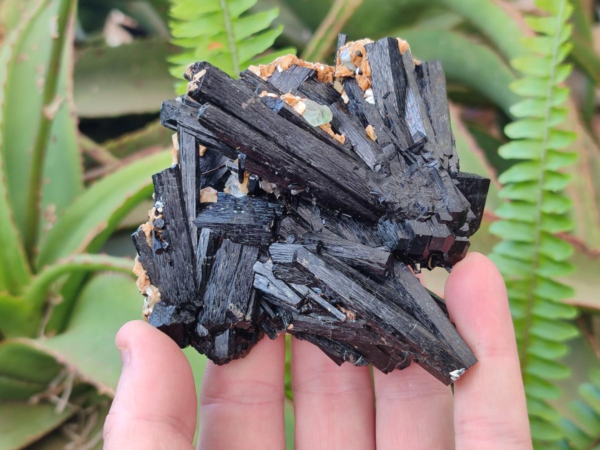 Natural Multi-Terminated Splayed Schorl Fluorite and Muscovite Specimen x 1 From Erongo, Namibia