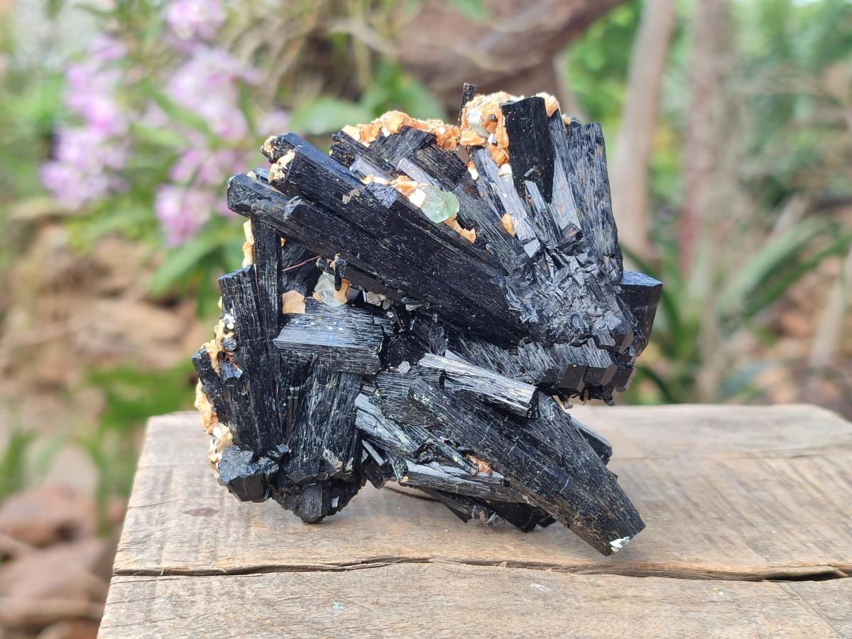 Natural Multi-Terminated Splayed Schorl Fluorite and Muscovite Specimen x 1 From Erongo, Namibia