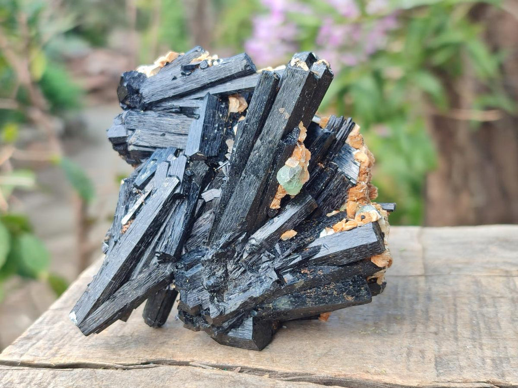 Natural Multi-Terminated Splayed Schorl Fluorite and Muscovite Specimen x 1 From Erongo, Namibia