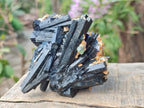 Natural Multi-Terminated Splayed Schorl Fluorite and Muscovite Specimen x 1 From Erongo, Namibia