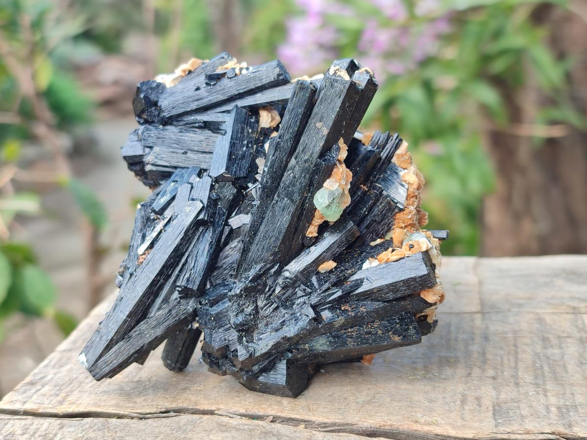 Natural Multi-Terminated Splayed Schorl Fluorite and Muscovite Specimen x 1 From Erongo, Namibia