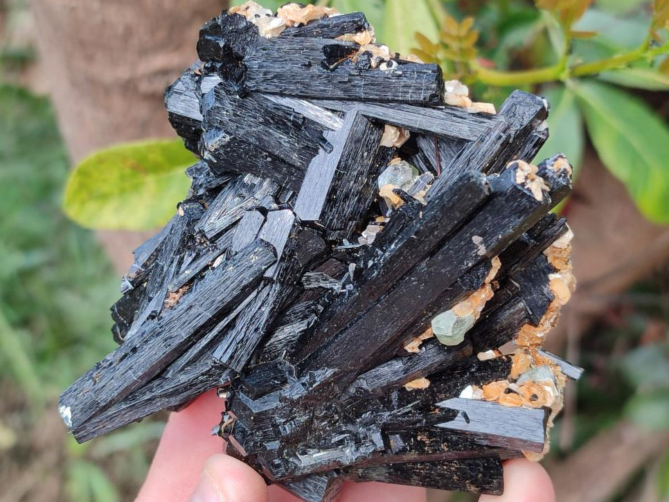Natural Multi-Terminated Splayed Schorl Fluorite and Muscovite Specimen x 1 From Erongo, Namibia
