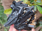 Natural Multi-Terminated Splayed Schorl Fluorite and Muscovite Specimen x 1 From Erongo, Namibia