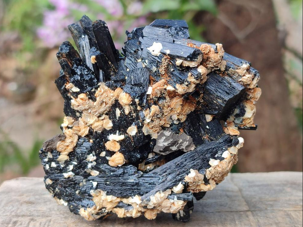 Natural Multi-Terminated Splayed Schorl Fluorite and Muscovite Specimen x 1 From Erongo, Namibia
