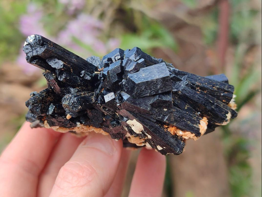 Natural Multi-Terminated Splayed Schorl Fluorite and Muscovite Specimen x 1 From Erongo, Namibia
