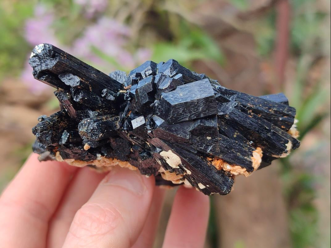Natural Multi-Terminated Splayed Schorl Fluorite and Muscovite Specimen x 1 From Erongo, Namibia