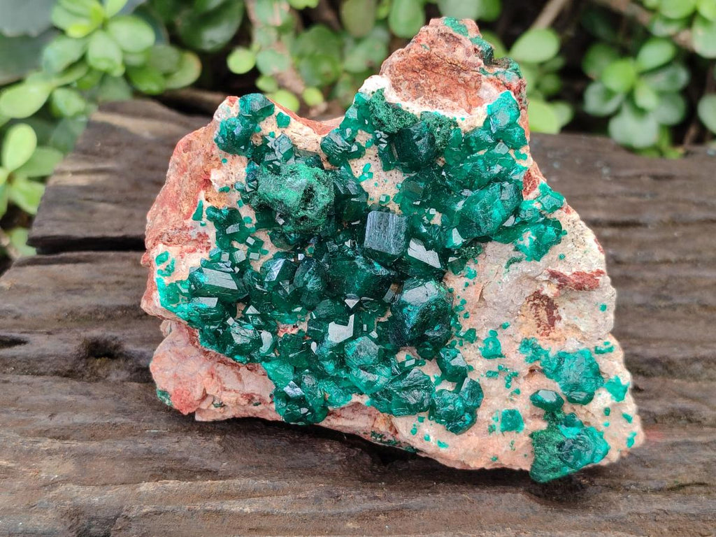 Natural Cabinet Dioptase Specimen with Extra Large Crystals x 1 From Mashamba East Mine, Congo