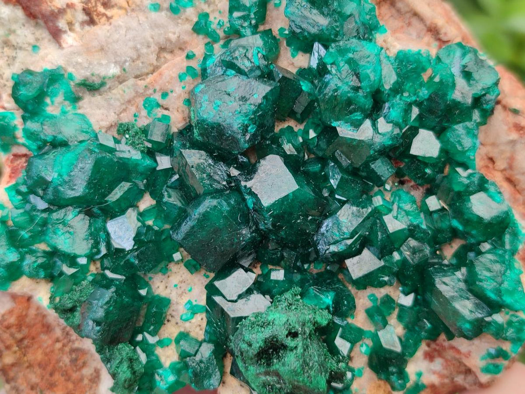 Natural Cabinet Dioptase Specimen with Extra Large Crystals x 1 From Mashamba East Mine, Congo