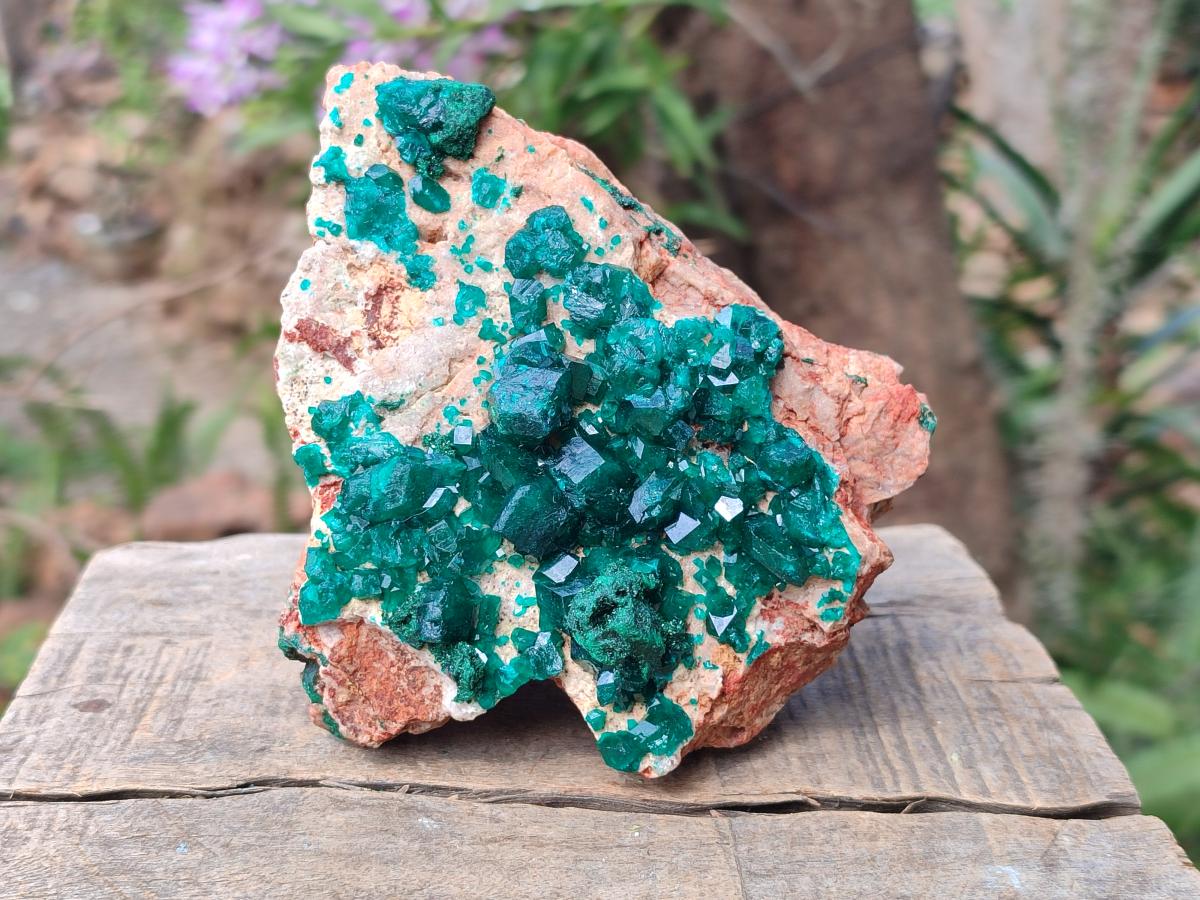 Natural Cabinet Dioptase Specimen with Extra Large Crystals x 1 From Mashamba East Mine, Congo