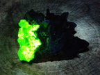 Natural Hyalite Opal on a Dark Morion Smokey Quartz Cluster x 1 From Erongo, Namibia
