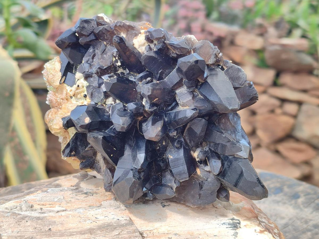 Natural Hyalite Opal on a Dark Morion Smokey Quartz Cluster x 1 From Erongo, Namibia