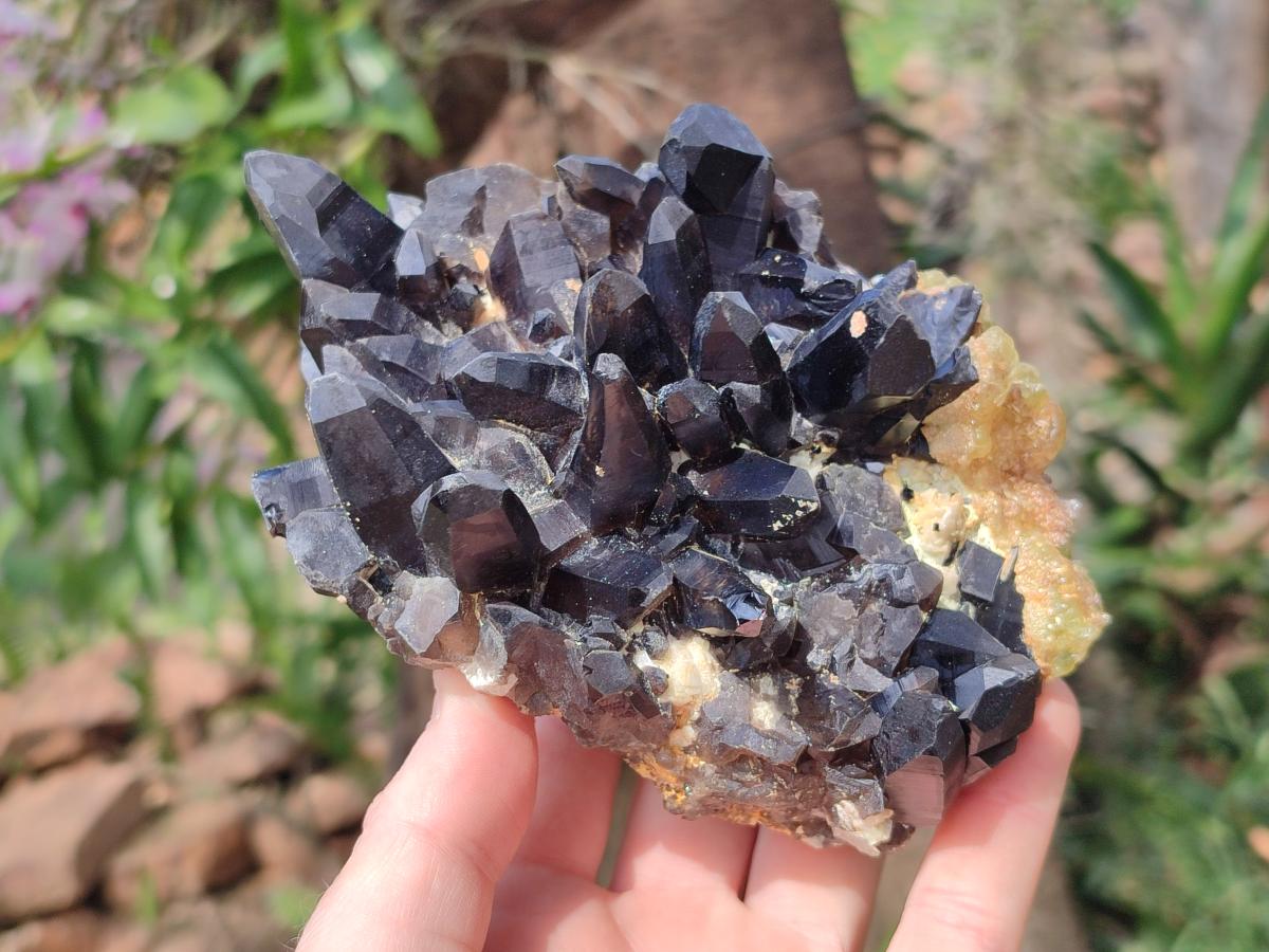 Natural Hyalite Opal on a Dark Morion Smokey Quartz Cluster x 1 From Erongo, Namibia