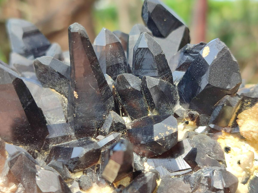 Natural Hyalite Opal on a Dark Morion Smokey Quartz Cluster x 1 From Erongo, Namibia