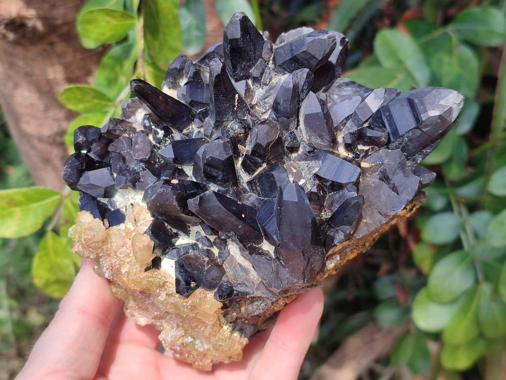 Natural Hyalite Opal on a Dark Morion Smokey Quartz Cluster x 1 From Erongo, Namibia