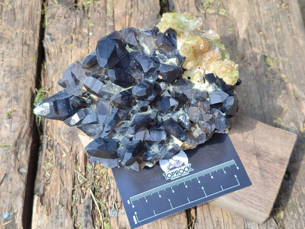 Natural Hyalite Opal on a Dark Morion Smokey Quartz Cluster x 1 From Erongo, Namibia