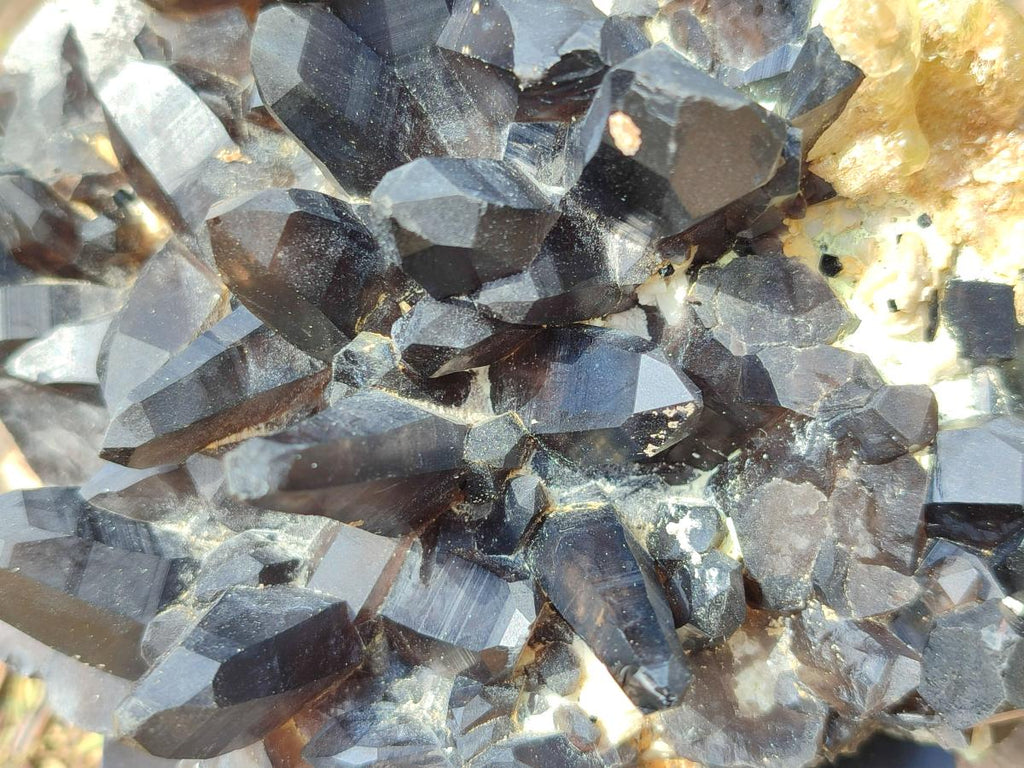 Natural Hyalite Opal on a Dark Morion Smokey Quartz Cluster x 1 From Erongo, Namibia