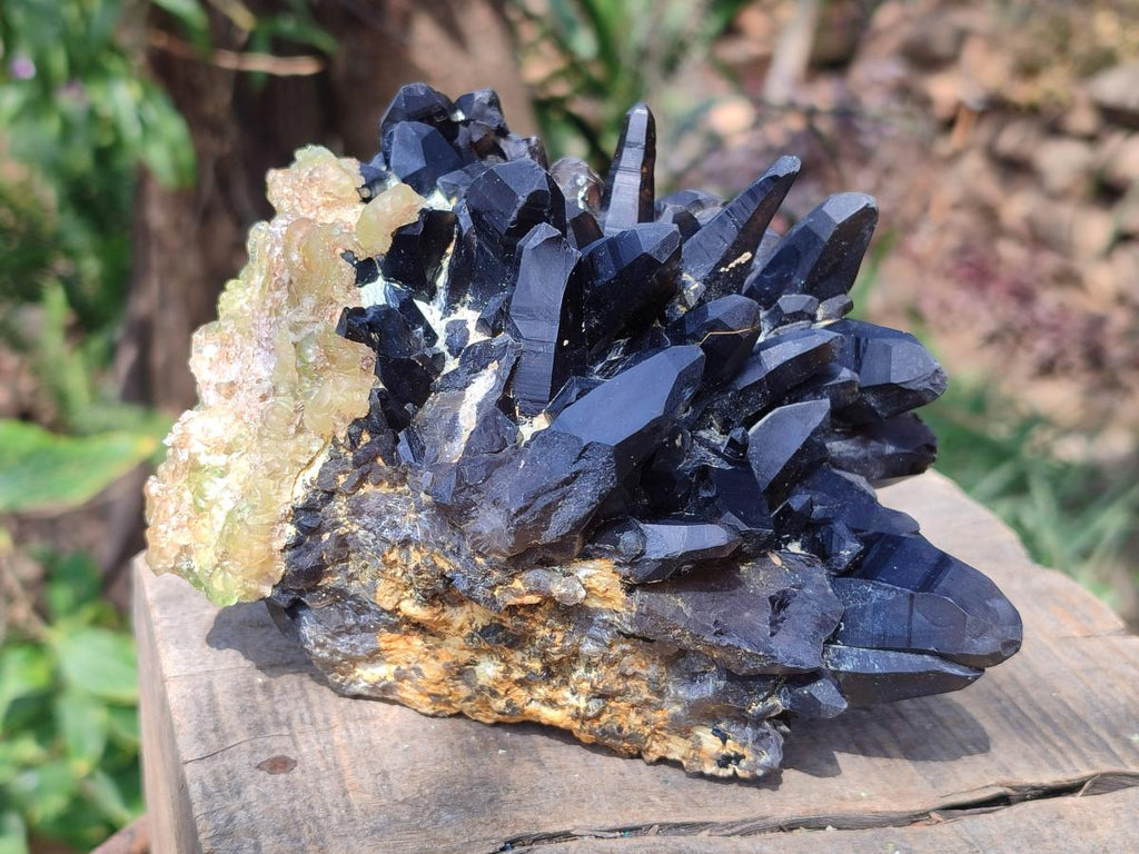 Natural Hyalite Opal on a Dark Morion Smokey Quartz Cluster x 1 From Erongo, Namibia