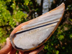 Polished One Side Set of 4 Matching Sardonyx Agate Slices x 1 From Zimbabwe