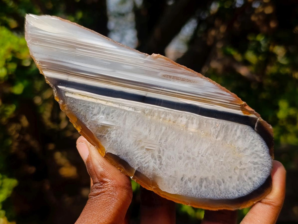 Polished One Side Set of 4 Matching Sardonyx Agate Slices x 1 From Zimbabwe