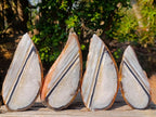 Polished One Side Set of 4 Matching Sardonyx Agate Slices x 1 From Zimbabwe