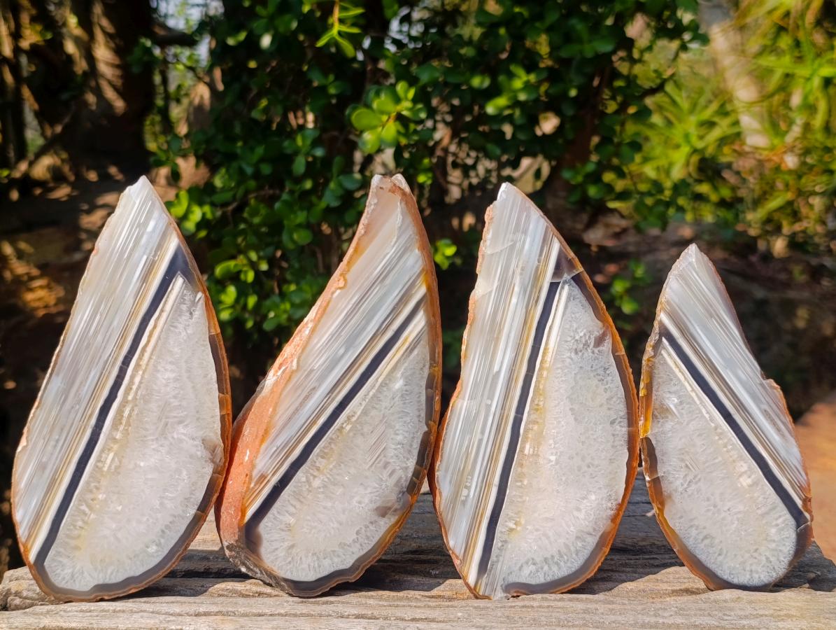 Polished One Side Set of 4 Matching Sardonyx Agate Slices x 1 From Zimbabwe