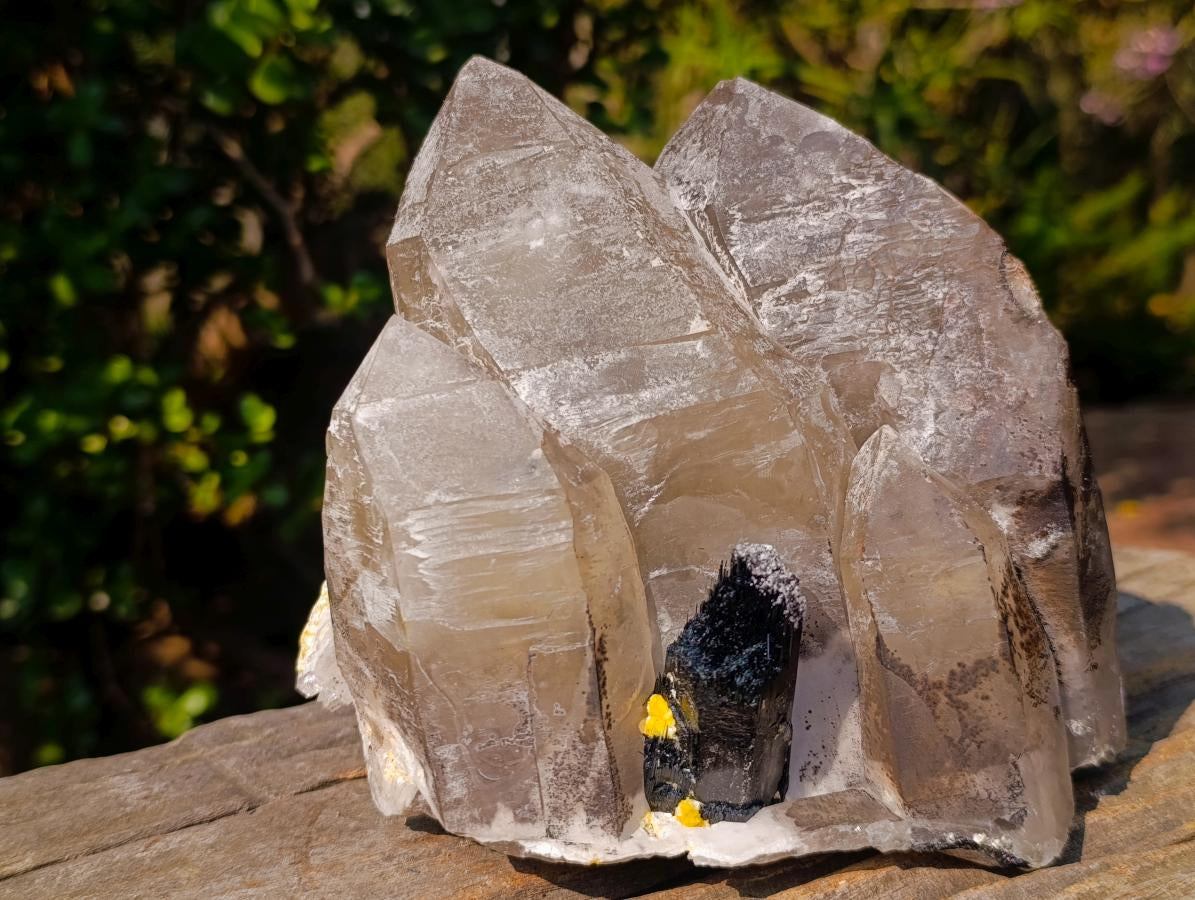 Natural Triple Terminated Smokey Quartz Cluster with Foitite Black Tourmaline and Hyalite Opal x 1 From Erongo, Namibia
