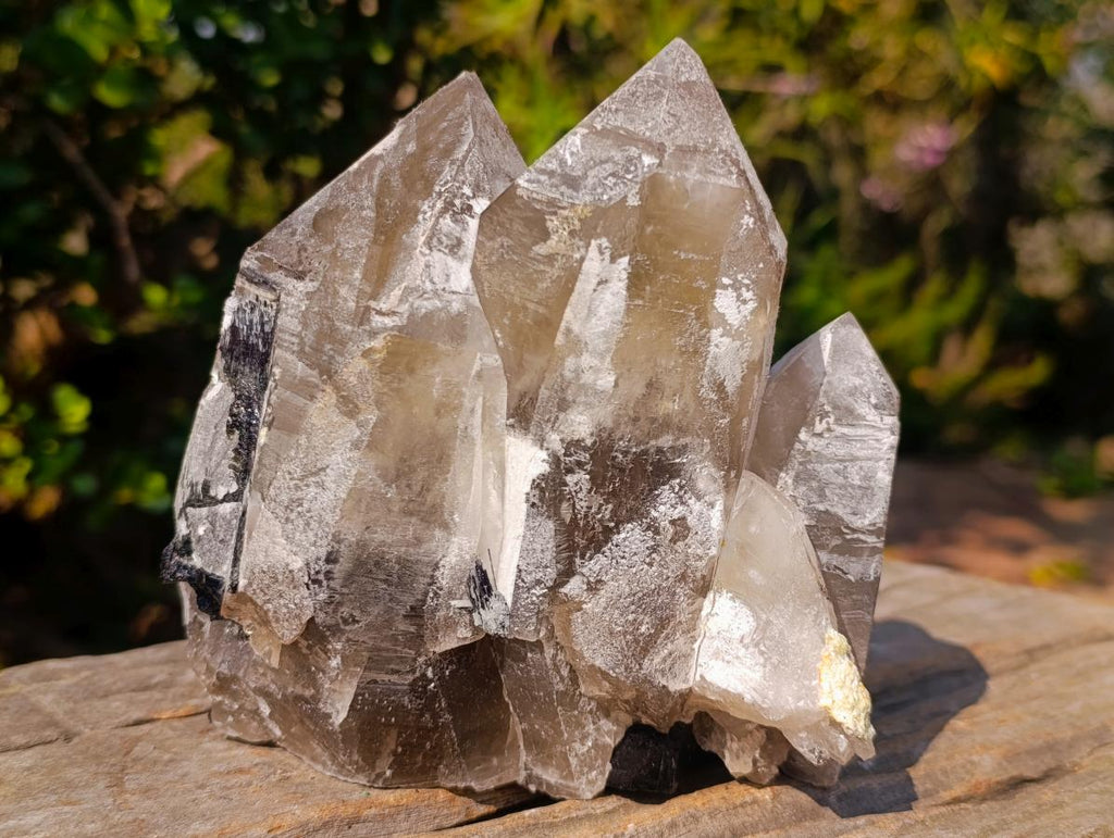 Natural Triple Terminated Smokey Quartz Cluster with Foitite Black Tourmaline and Hyalite Opal x 1 From Erongo, Namibia