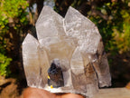 Natural Triple Terminated Smokey Quartz Cluster with Foitite Black Tourmaline and Hyalite Opal x 1 From Erongo, Namibia