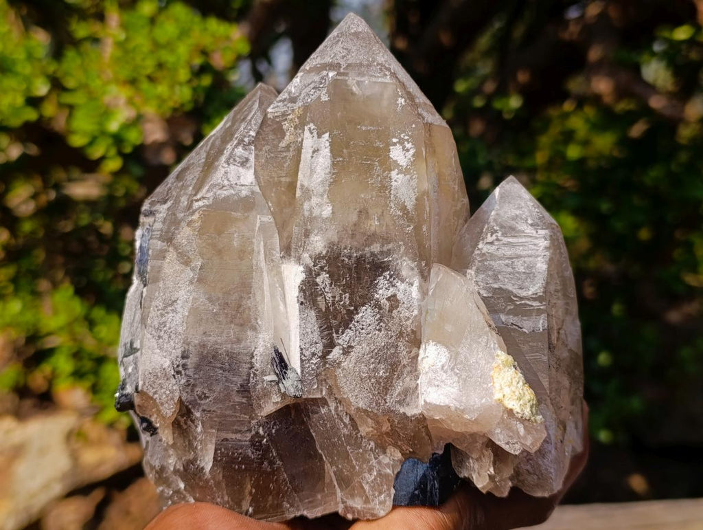 Natural Triple Terminated Smokey Quartz Cluster with Foitite Black Tourmaline and Hyalite Opal x 1 From Erongo, Namibia